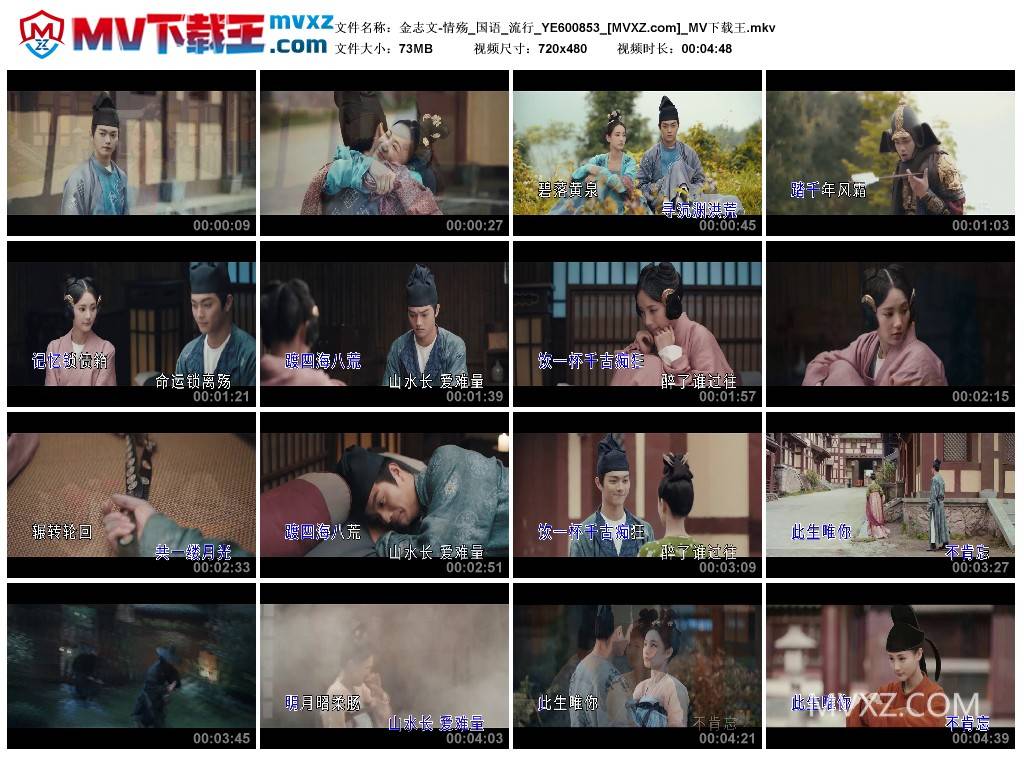 金志文-情殇_国语_流行_YE600853